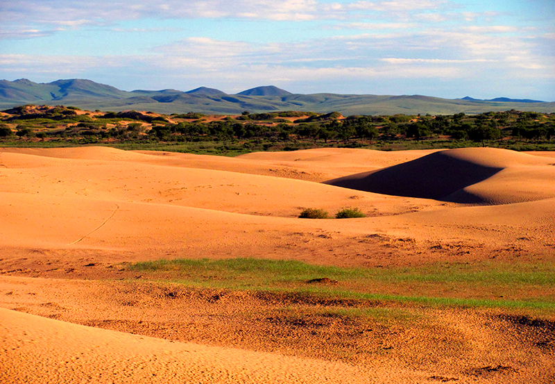 Elsen tarakhai ( little Gobi)